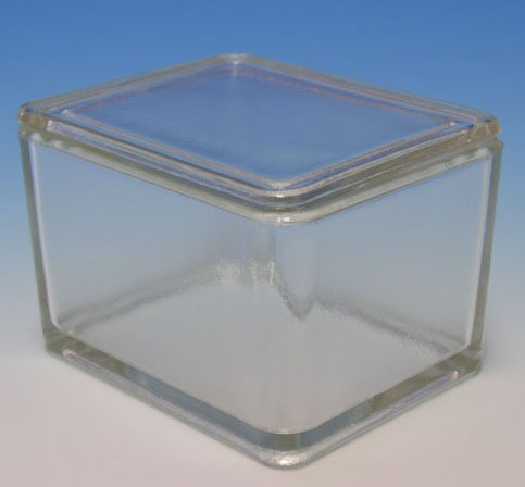 Staining trough with lid, 105 x 85 x 80 mm