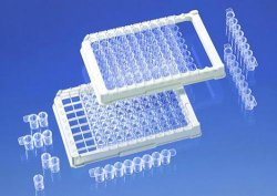 Strip plates w.grid,12xF8,dividable,HB (pack of, 1