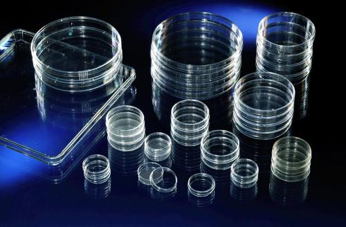 Cell Culture Dishes, Nunclon™? Surface pack of 400