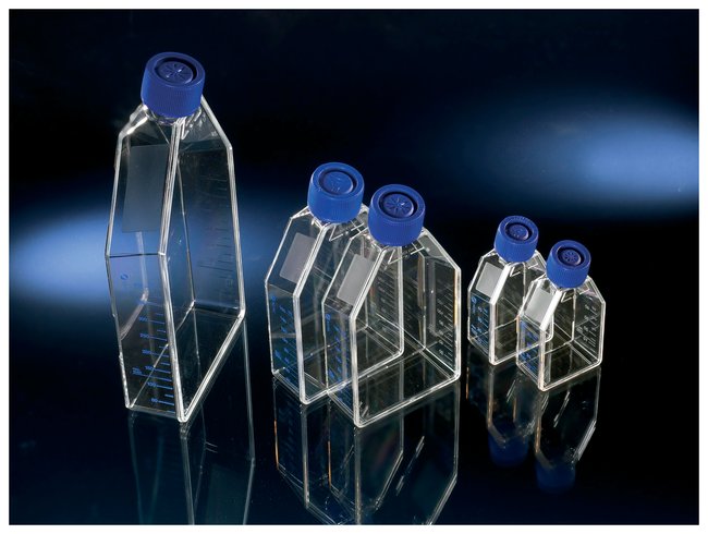 25CM2 POLYDLYSINE COATED EZ FLASK
