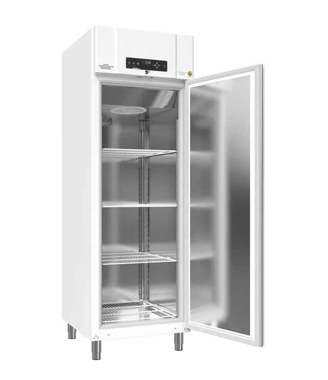 [4563064] Storage freezer, GRAM BioBasic RF600, -25/-5°C, 610L, 4 shelves, white