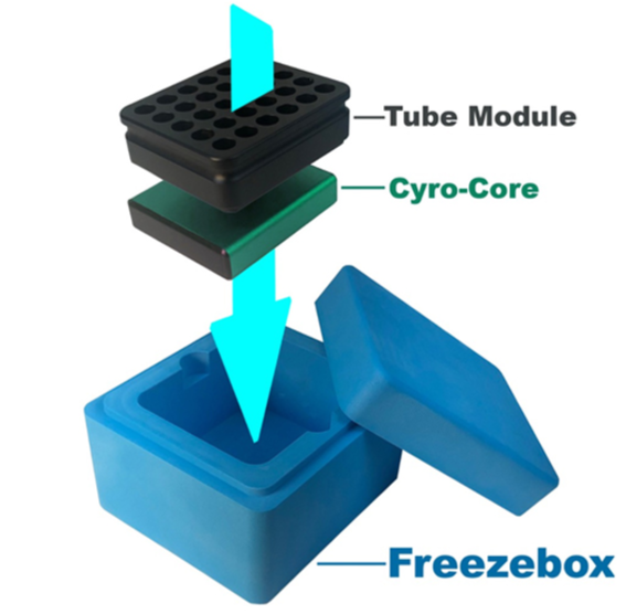 [4665860] Freeze Box for 1,5 mL tubes incl. cooling core CF (-18 °C to 4 °C)