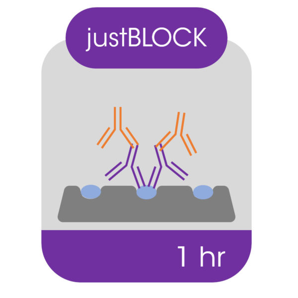 Western all-in-one blocking solution