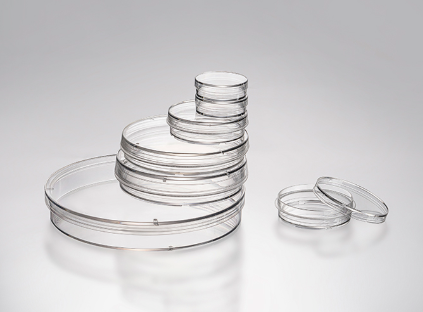 Tissue culture dishes 15.0cm, 143cm² Standard type for adhesion cell pack of 100