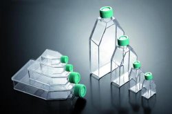 Tissue Culture Flasks, JET-Biofill filter lid, 12,5 cm², 200 pcs