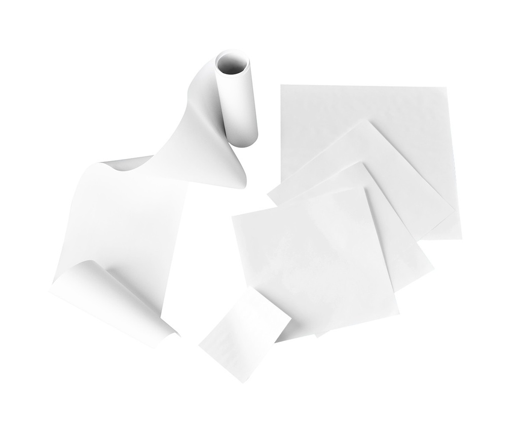 PVDF transfer membrane 0.22 µm