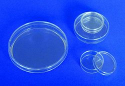 LLG Petridishes 150mm PS, 3 vents, sterile,pcs 140