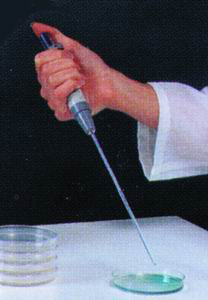 Pipette tips for Interscience pipette, 19 cm, sterile, 1000 pcs