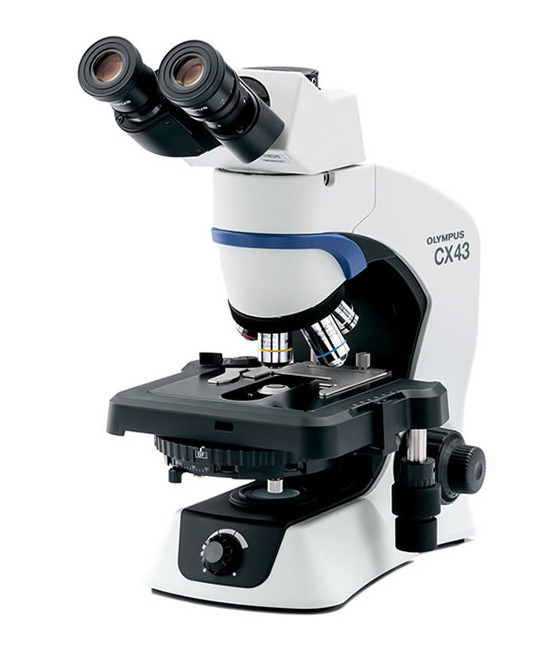 [5610210] Microscope, Olympus CX43 Ergo, 4x/10x/40x