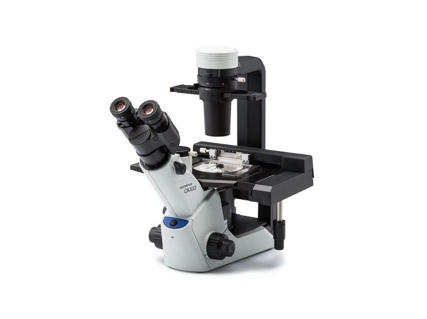 [5610410] Microscope, Olympus CKX53 FL, 10x/40x