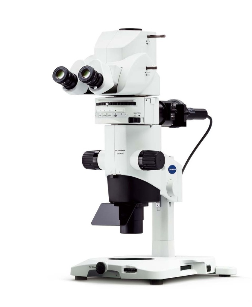 [5611810] Stereo microscope, Olympus MVX10 w/ fluorescence, 6.3x-125x