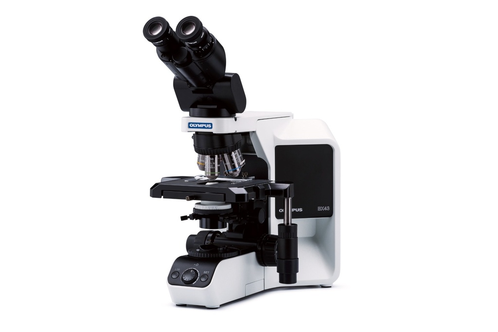 [5612000] Microscope, Olympus BX43, 4x/10x/40x