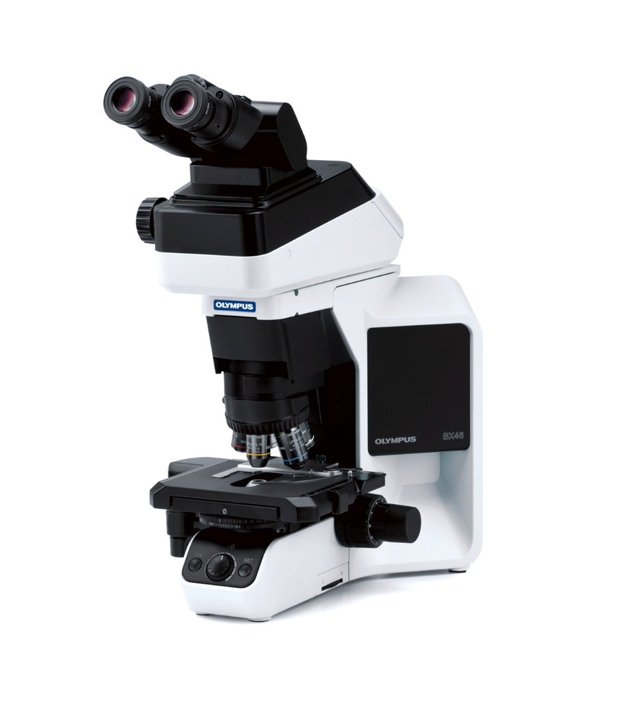[5612100] Microscope, Olympus BX46 Ergo, 4x/10x/40x