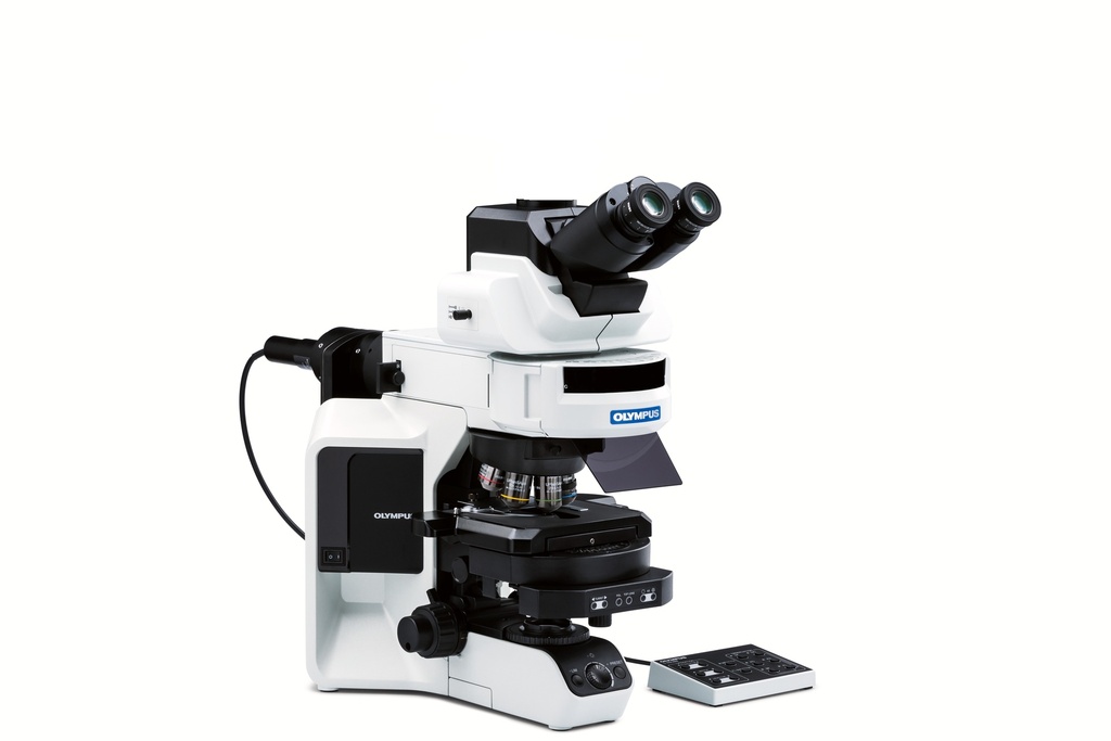 [5612210] Microscope, Olympus BX53 FL, Semi-motorized, 4x/10x/40x