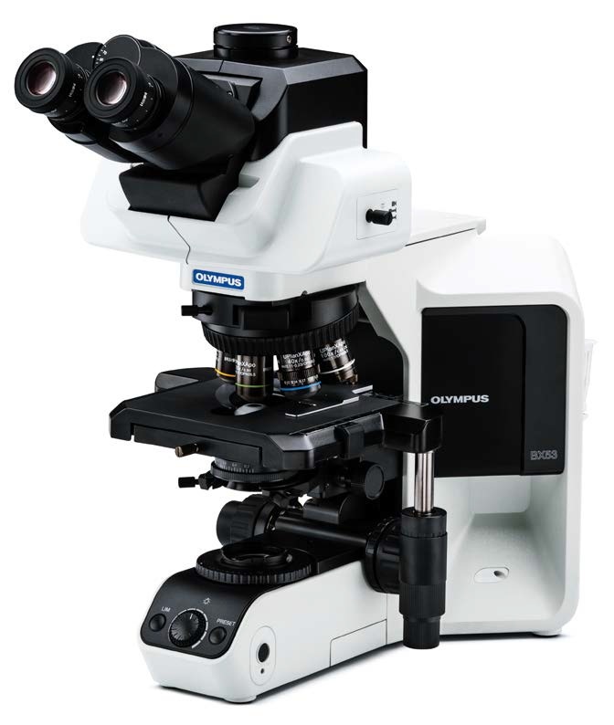 [5612221] Microscope, Olympus BX53 PH/DIC, 10X/20X/40X/40XDIC