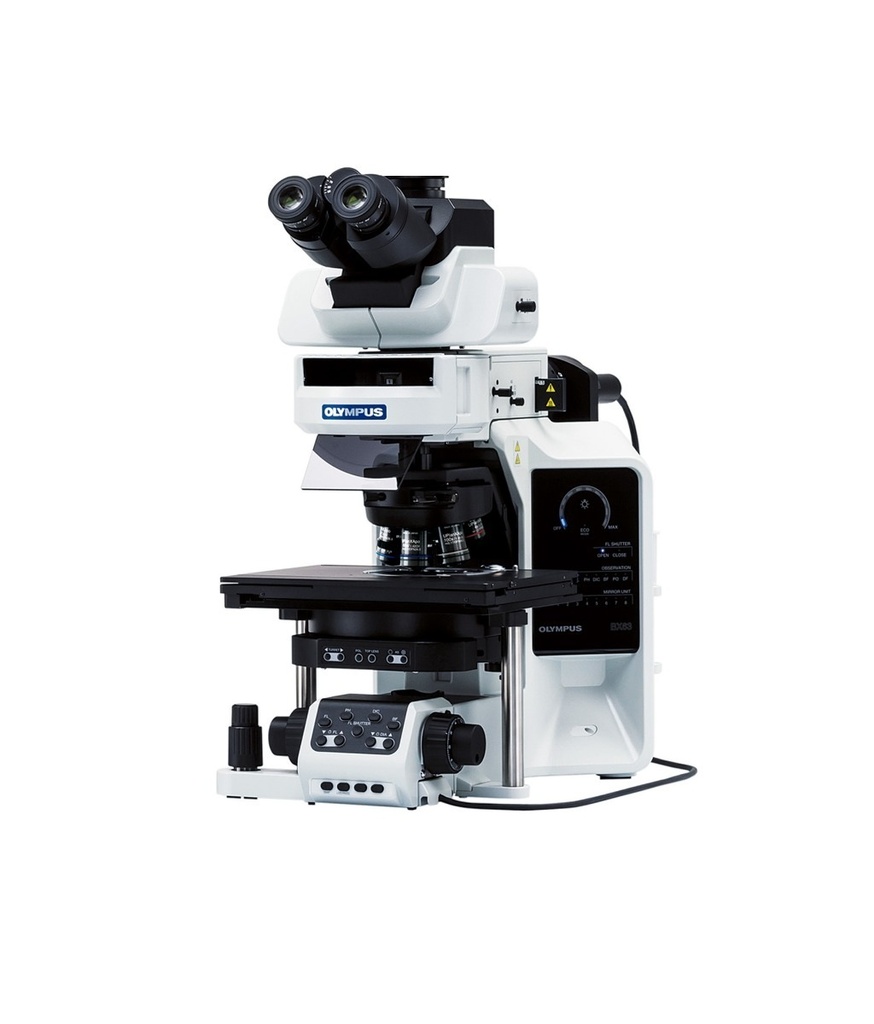[5612400] Microscope, Olympus BX63 FL, Motorized, 4x/10x/40x