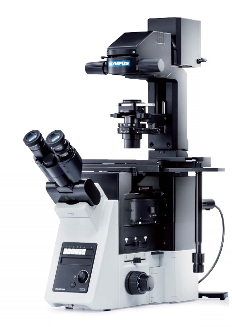 [5614100] Microscope, Olympus IX73 PH, 4x/10x/20x/40x