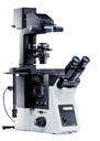 Microscope, Olympus IX73 PH FL, 4x/10x/20x/40x