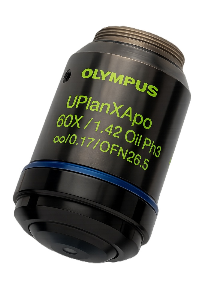 [5624230] Objective, Olympus UPLXAPO60XOPH/1.42 Universal Plan Extended Apochromat Ph, Oil, 60x, FN26.5