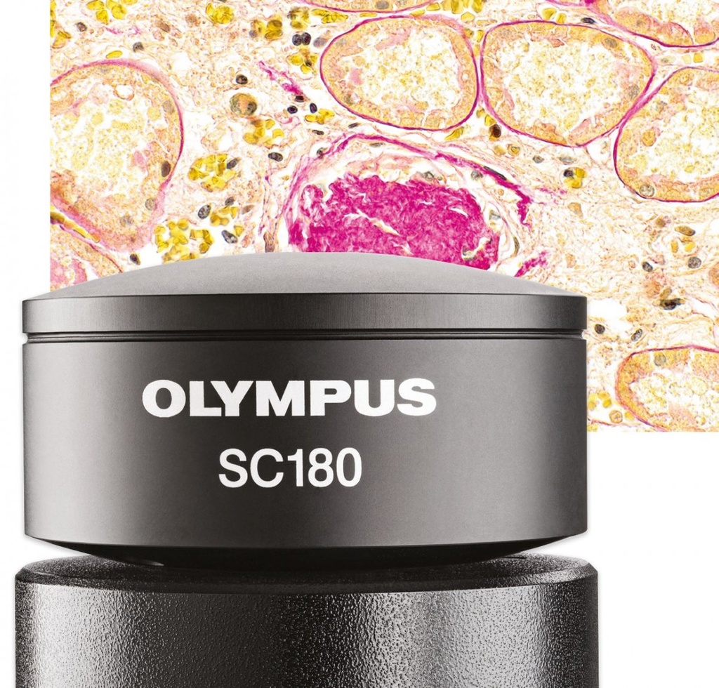 [5631020] Microscope camera, Olympus SC180, 18.1 MPx, 1/2.3", Color