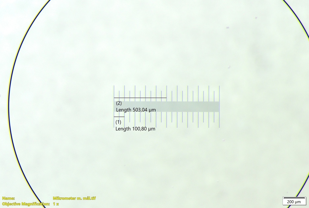 [5684000] Stage micrometer for transmitted light, 1mm/100 ticks