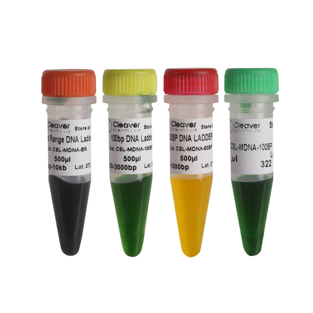 DNA marker, 100 bp - 3000 bp, 500 µl