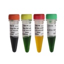 DNA marker, 100 bp - 1500 bp, 500 µl