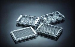 Tissue Cult.plates 6-well, 10.0cm²,treated,sterile