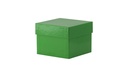 Cryobox, TENAK, 133 x 133 x 100 mm, PP coated cardboard, green