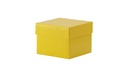 Cryobox, TENAK, 133 x 133 x 100 mm, PP coated cardboard, yellow