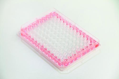 Microplates Nunc Edge 2.0, 96 well, w/o lid, 10x16