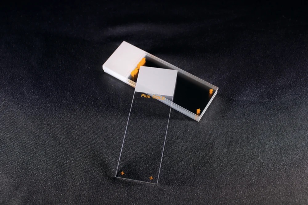 [6700125] Slides, Epredia, Superfrost PLUS Gold, white frosted tab, 90° ground edge, 72 pcs