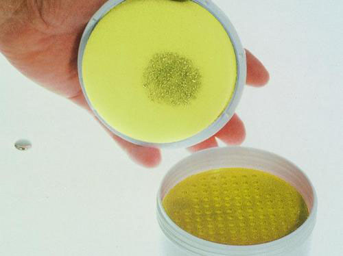 Replacement foam insert, for mercury sampler