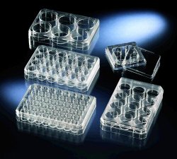 Multiplates 12 Well, cover, sterile, pack of 75