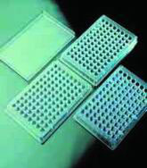 Microtiter plate round bottom