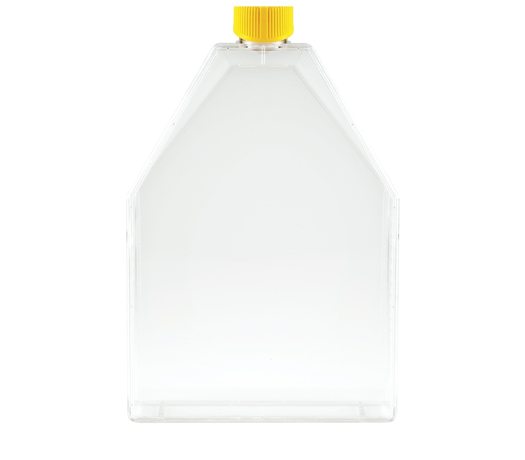 [90300] Cell culture flask, TPP ventilated lid, 300 cm², 18 pcs
