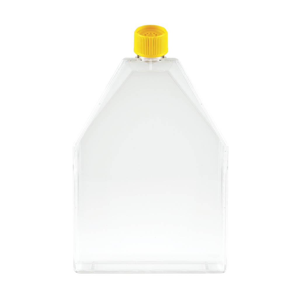 Cell culture flask, TPP filter lid, 300 cm², 18 pcs