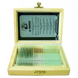 Set of 10 slides, biology, set 1