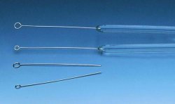 Inoculation loops, platinum-ir idium, Type without