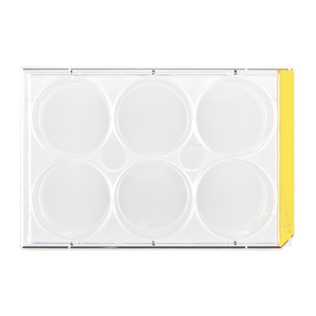 Cell culture plate, TPP, 6 wells, Ø33.9 mm, 126 pcs