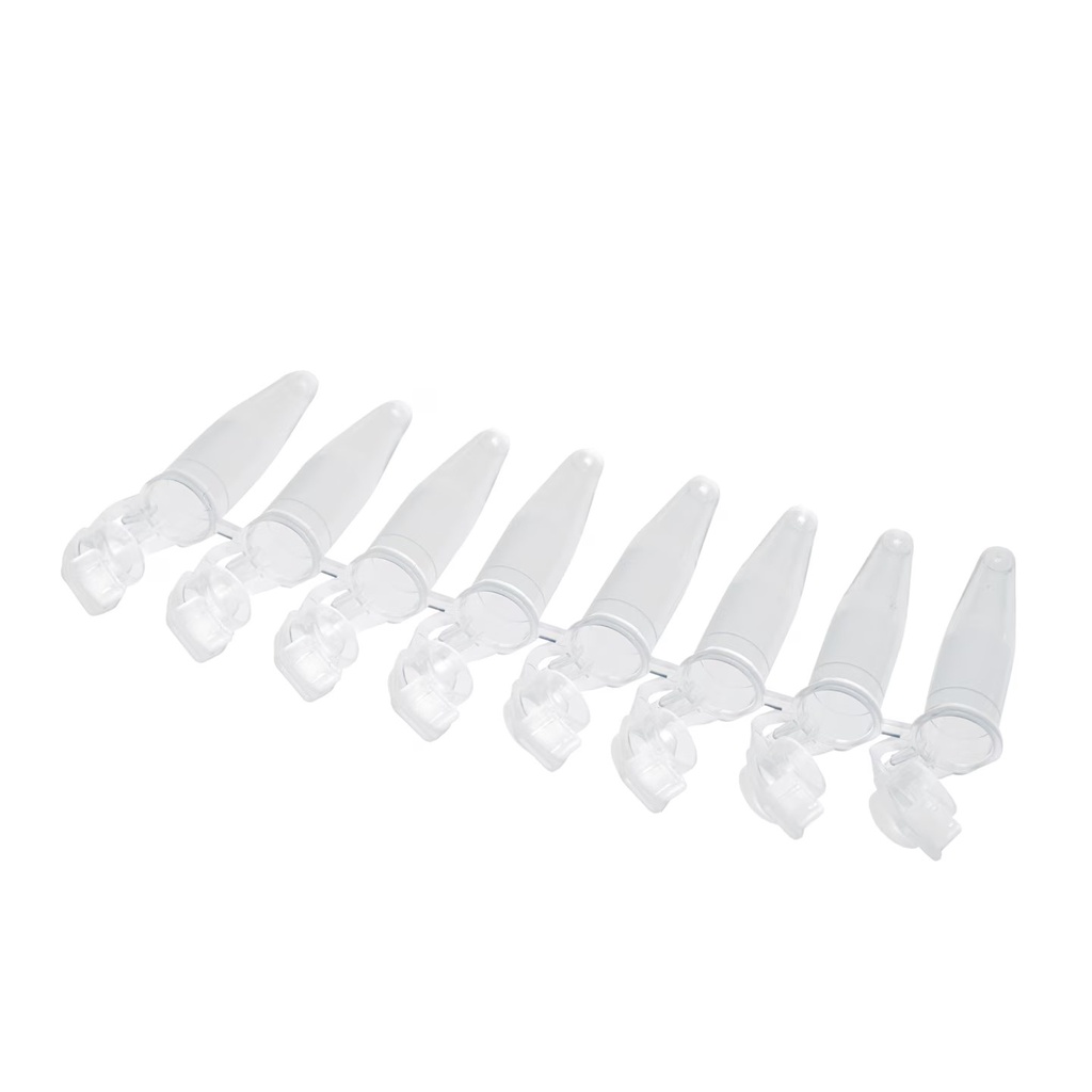 PCR tubes, 0.2 ml and 0.5 ml a nd accessory tray a