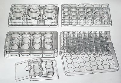 Multiplates Nunclon,sterile,6 wells,pack of 85