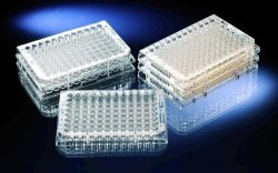 Immuno plates,PS,96 wells,MaxiSorp U96, pack of 60
