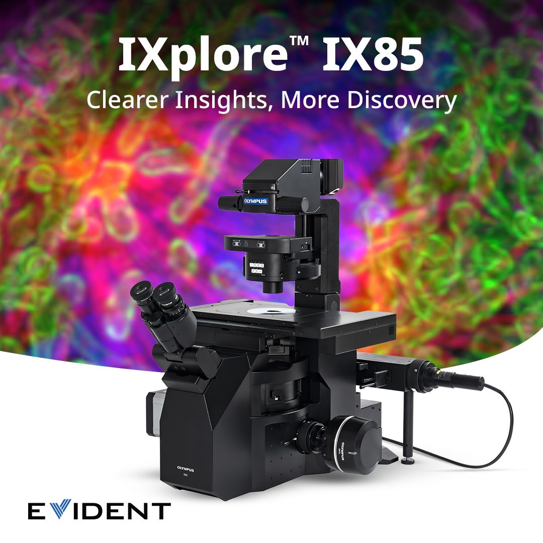 Inverted microscopes